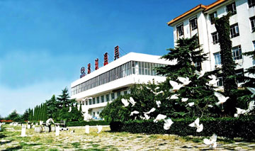 公司概况